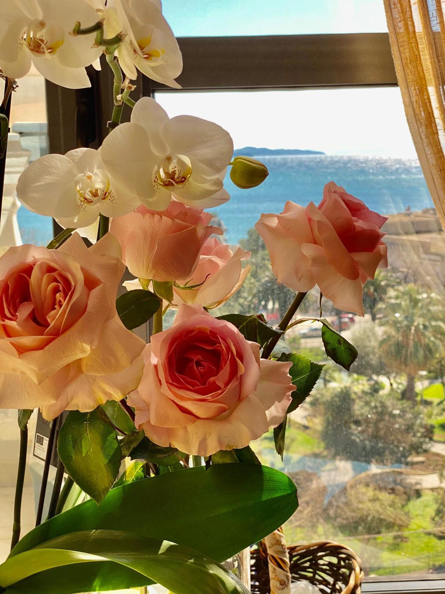 Amarilis Luxury Apartments Sarandë Esterno foto